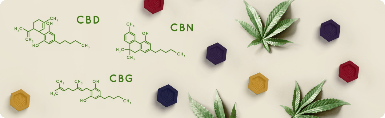 CBD vs CBN vs CBG