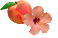 Peach Hibiscus CBD Gummy