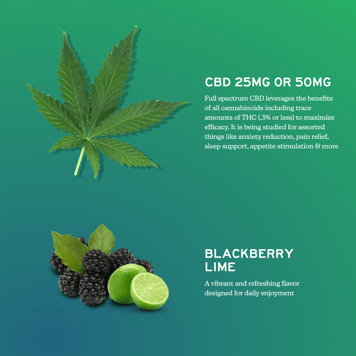 cbd-gummies-for-daily-support