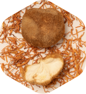 Lions Mane and Cordyceps