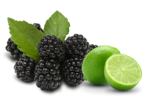 blackberry lime cbd gummy